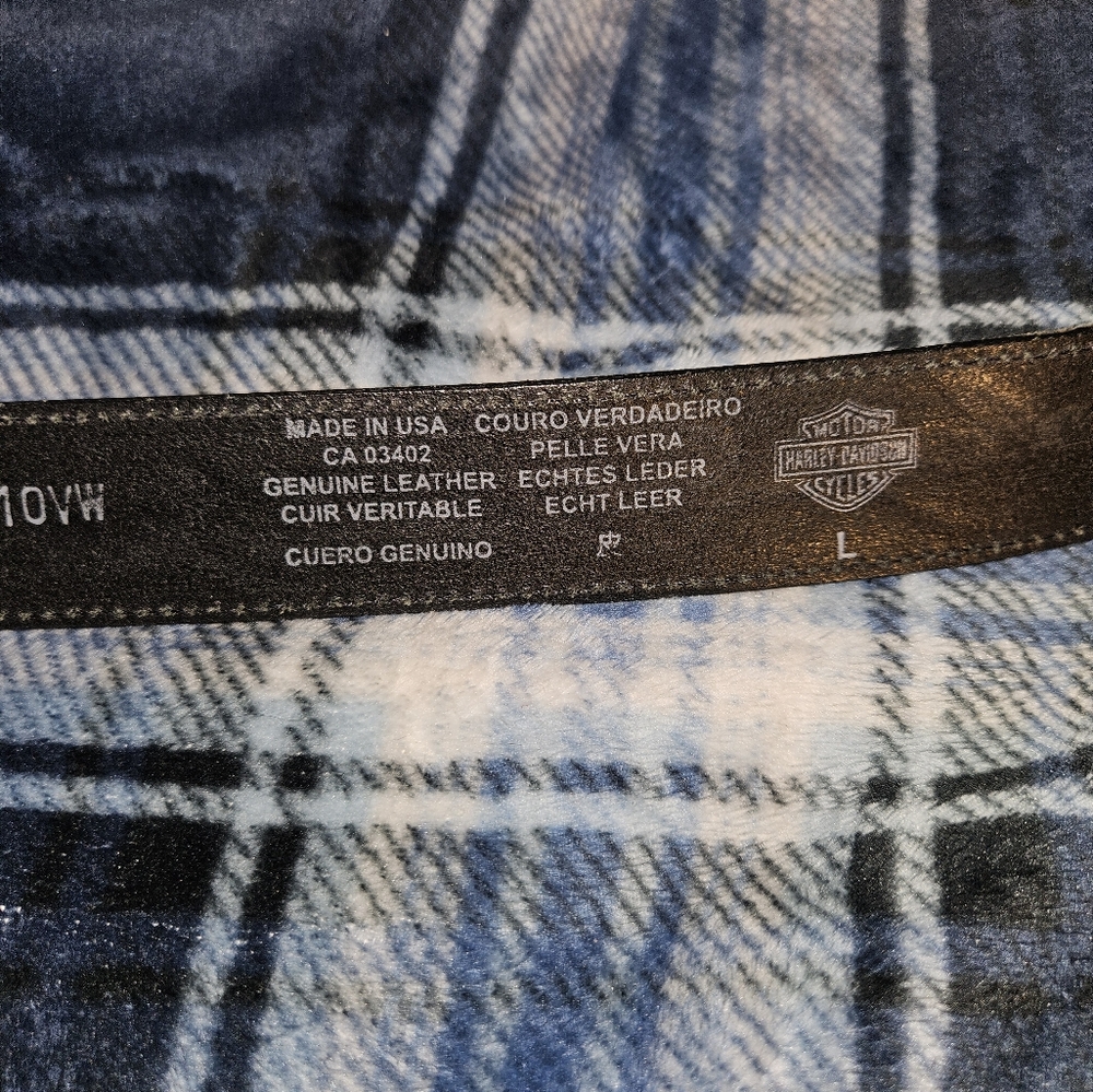 Harley Davidson - Picture 3 of 6